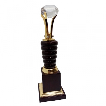 Contribution Trophy